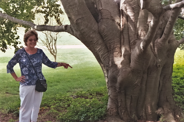 Longwood Gardens.  Louise really  liked this tree.