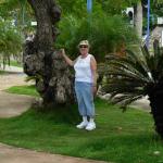 LOUISE AND ANOTHER TREE.  I LIKED THE ONE AT LONGWOOD BETTER