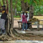 VENDER IN THE DOMINICAN REPUBLIC