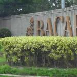 A VISIT TO THE BACARDI RUM DISTILLERY WAS ON THE AGENDA.  NOT A GREAT TOUR, BUT I DID LEARN ABOUT BACARDI 8 AND THE BAT.  BACARDI 8 IS GREAT.
