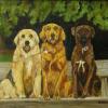 THREE DOGS ON A BENCH - OIL - Louise Northon Wright - 15"x20"