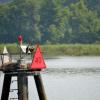 OSPREY NEST